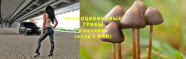 ПСИЛОЦИБИНОВЫЕ ГРИБЫ Алексеевка