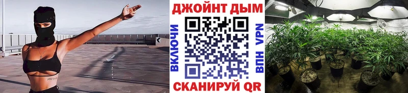 Каннабис конопля  купить   кракен маркетплейс  Мантурово 